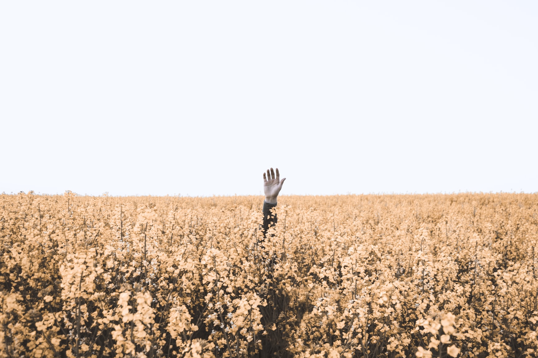 Did You Find The Lost Coin By Samir Stephan Kujur Crossmap Blogs