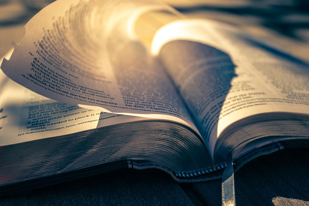 Bible closeup