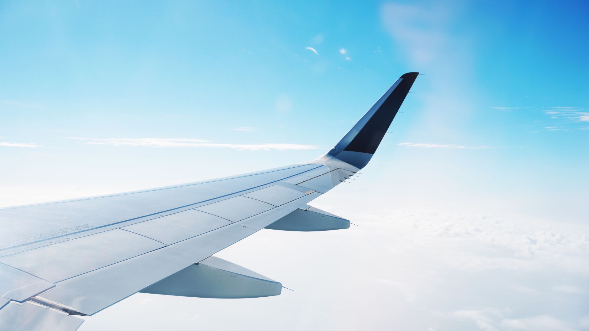 Plane wing