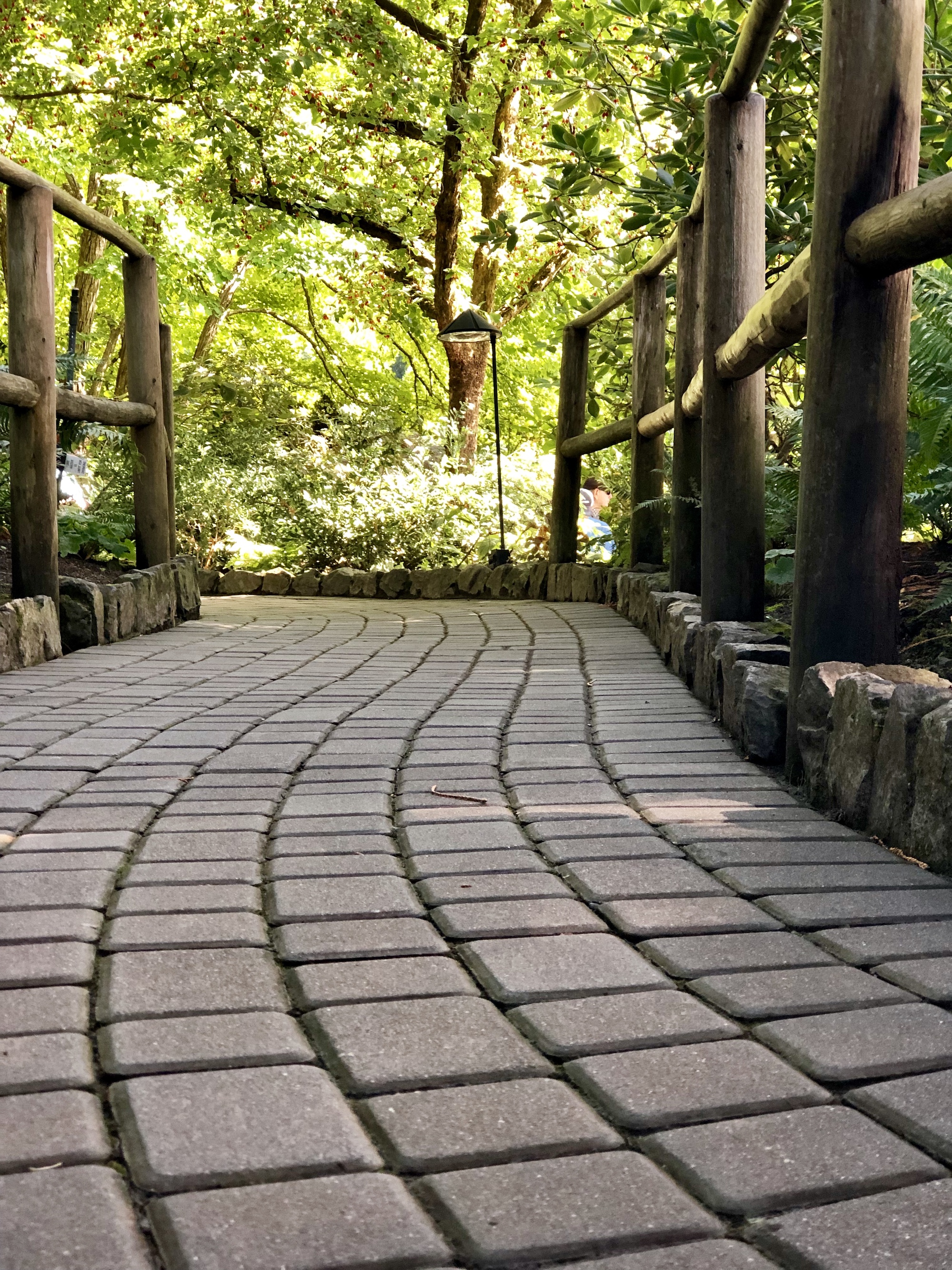 The Unexpected Path To Presidential Victory - no88gft