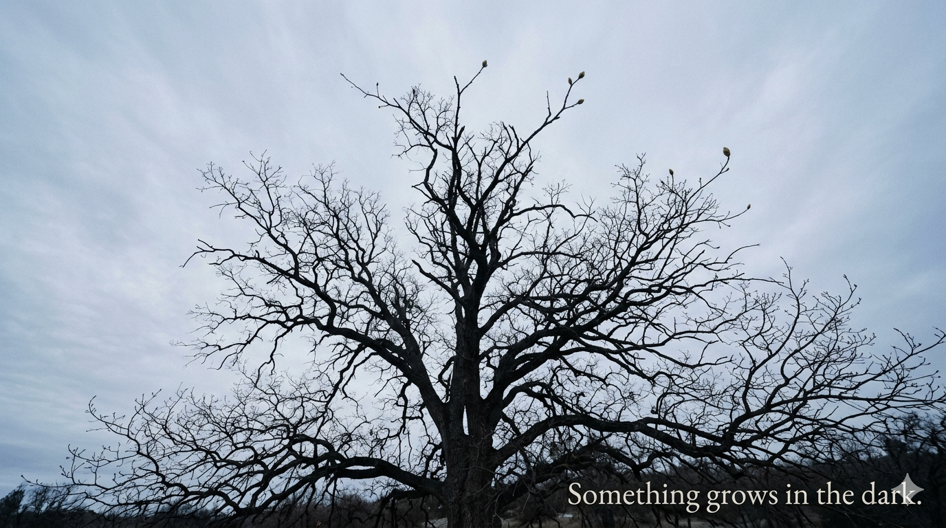 A Grace Disguised, Tree image, Hope Reads