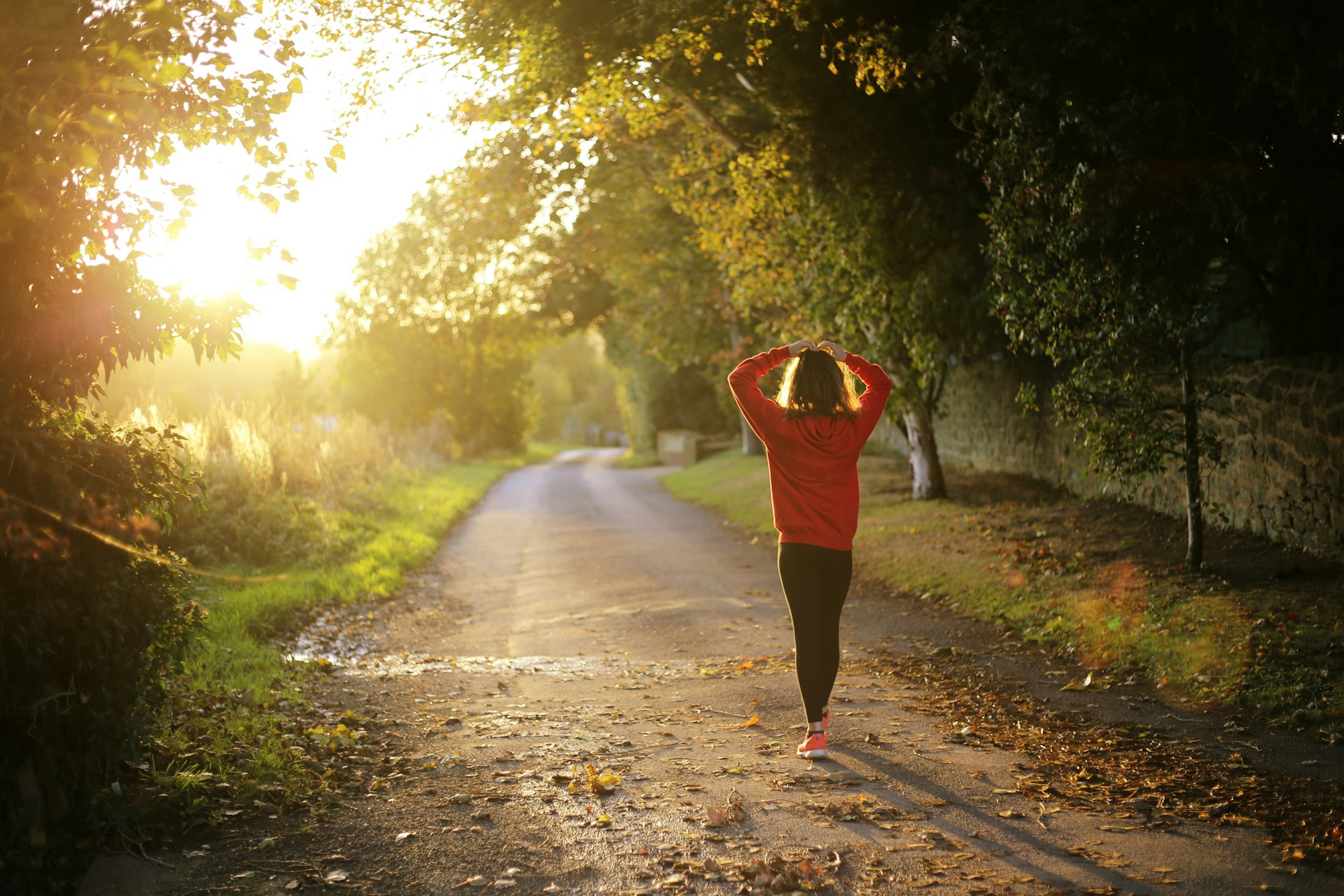 A person walking along a quiet tree-lined country road at sunset, wearing a red jacket, with warm golden sunlight streaming through the trees and fallen leaves scattered on the ground.