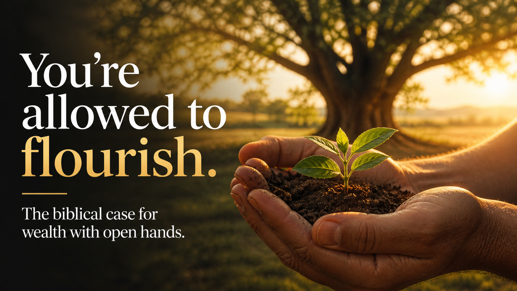 Open hands holding a seedling with a large tree in the background, representing Christian stewardship and biblical flourishing with financial prosperity.