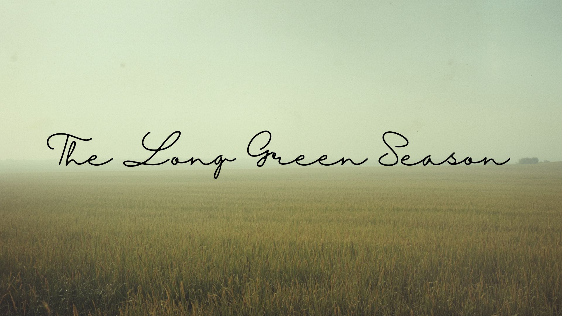 The Long Green Season