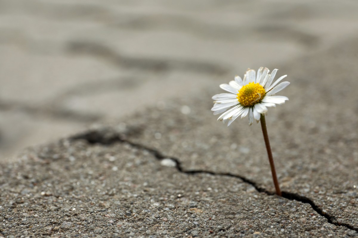 Biblical Counsel for Surviving “One of Those Days”-