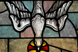 trinity-ZliNrBQH