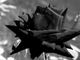 rose-4907402_960_720