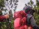backpack-gf9cc281b0_1920-0WTORvYt