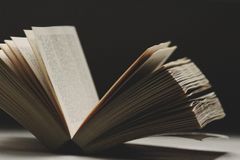 brandi-redd-6H9H-tYPUQQ-unsplash-3Jsp4KyN