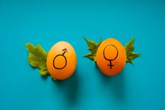 dainis-graveris-lpyHSTHO7LM-unsplash-n1S2799P