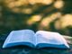 aaron-burden-GJZXSzjB_AY-unsplash-Z4lxNPmt