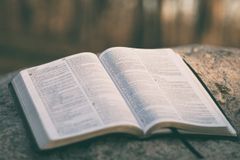 aaron-burden-J2XuOsy4mJE-unsplash-dDKRMTRv
