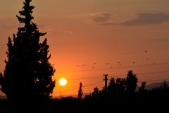 tolga-ulkan-fC2nghDTqkA-unsplash-Bkt4EFKr