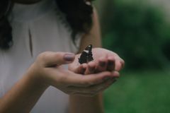 reign-abarintos-jMFo7nlYpUc-unsplash-N4hmzDrk