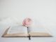 sixteen-miles-out-nQjExbAyPbU-unsplash