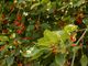 viviane-pasta-5ISAVM_RoD0-unsplash (1)
