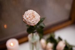 nataliee-shell-THkEmpMwOyQ-unsplash