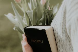 priscilla-du-preez-6hQ254c7FEI-unsplash