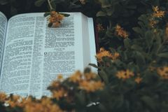 aaron-burden-tIq0niWZI0A-unsplash-eBscK0aW