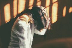 carolina-heza-0lD4hF1fBv0-unsplash (1)