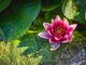 sandra-grunewald-Ph83nc27OeU-unsplash-D5eFqpXq