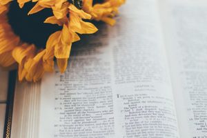 sixteen-miles-out-JDNjOddmKsc-unsplash-LOygGvVW