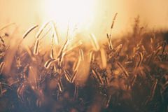 erik-jan-leusink-uQN9KaPTeI4-unsplash