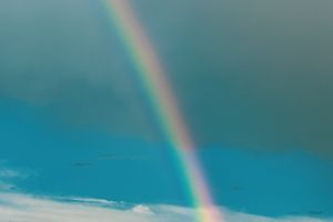 mateus-campos-felipe-x0tB8fltGqU-unsplash-1-lXAvUgMK