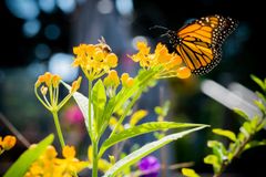 ryan-carpenter-QkyhRXAdBjs-unsplash
