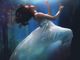 alice-alinari-apYiDRNa-pY-unsplash