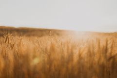 sarah-mason-cUY7u2Fskk4-unsplash-4zxBRGAw