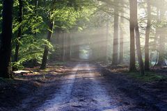 avenue-gf614093c1_640-Sdh2VlwR