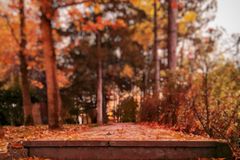 tolga-ulkan-QBFqmMyBcXw-unsplash