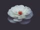 majid-rangraz-Ixt6NfWqUfA-unsplash-ifQP1ZuE