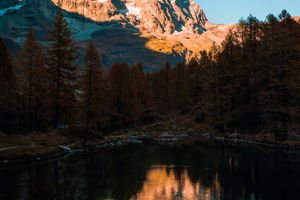 matteo-catanese-4KrQq8Z6Y5c-unsplash