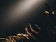 edwin-andrade-6liebVeAfrY-unsplash
