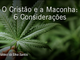 ocristaoeamaconha_700x368px