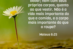 Mateus 6