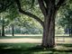 ryan-hafey-PdJjT-zYg_E-unsplash