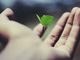 name_-gravity-_AdUs32i0jc-unsplash