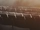 alex-avalos-dnUNjIUCg5c-unsplash