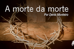 amortedamorte_480x252px