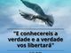 Versículo do dia (Post para Facebook (Quadrado)) (11)