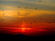 20220301_102245-diPeOKPf