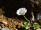 20220324_094909-NE2mAmLO