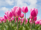 20220326_094204-K7ygIspU