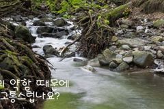 나의-약함-때문에-고통스럽나요-DDm1dLr6