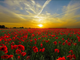 20220418_205454-UyEYFksB