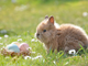 20220419_193411-tHmqWyOr