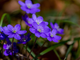 20220511_100437-VFf7Fd0H